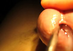 Urethral sounding and stretching with cumshot