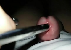 COCK,ME INSERTION URETHRAL MWA